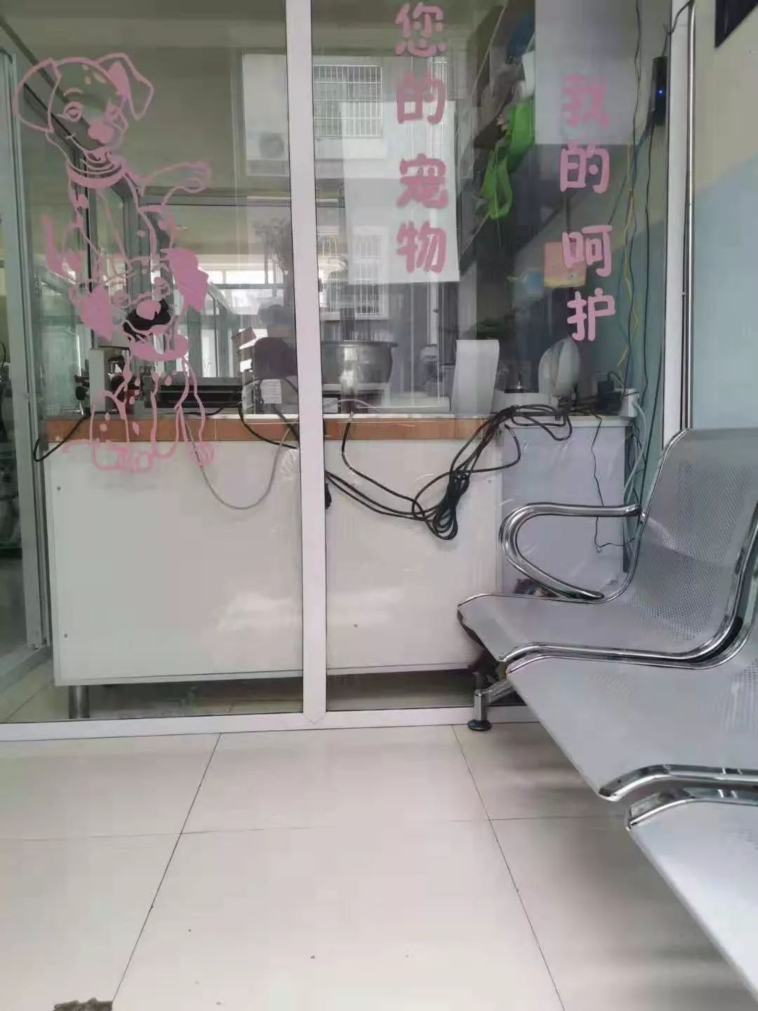 丽江宠物基地,丽江最好的宠物医院