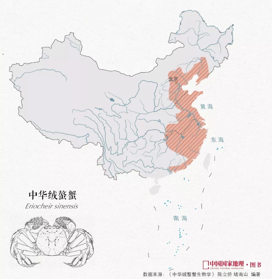 大闸蟹做法简单又好吃,鹤龙湖大闸蟹哪家好吃