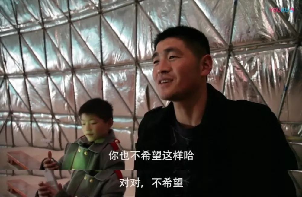 马戏团老虎逃脱后死亡,马戏团老虎脱逃最新结果