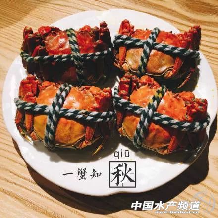 21年大闸蟹最佳食用时间,史上最全的大闸蟹食用指南