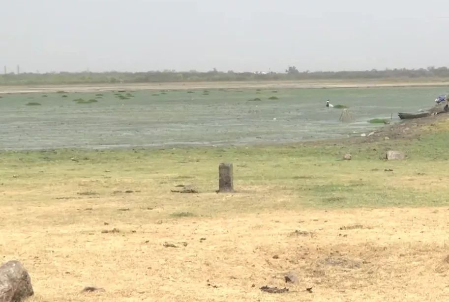 印度人为了求雨给青蛙办婚礼 (印度青蛙办婚礼求雨)