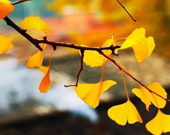 深度推荐旅行去处,最适合七天旅游的十个城市