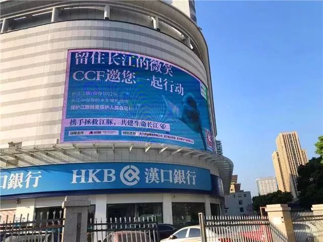 阿拉善see公益在哪,感谢爱心人士及企业的大力支持