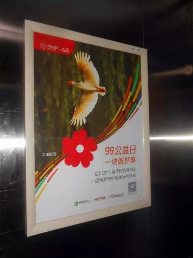 阿拉善see公益在哪,感谢爱心人士及企业的大力支持