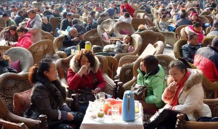 1130什么星座,白桥是什么星座