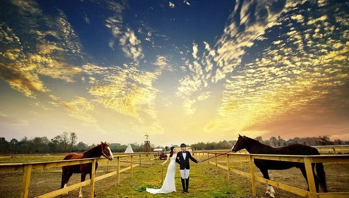 越青是什么星座,白桥是什么星座