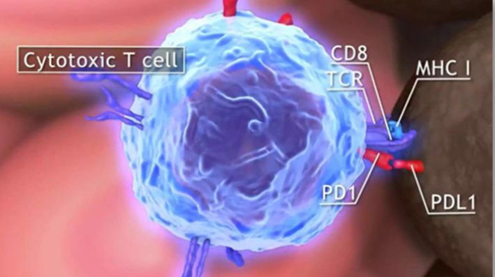 全球肿瘤学指南37项,免疫治疗肿瘤假性进展