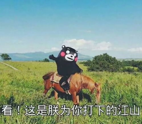 秋冬适合的小众包品牌推荐,秋天适合背的大牌包