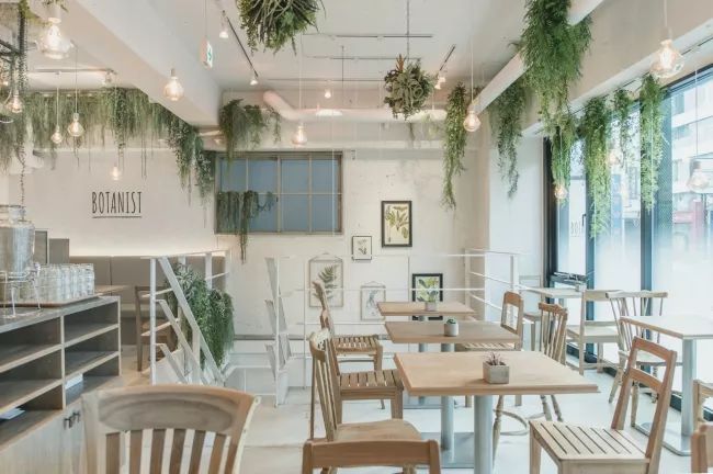 botanist清爽薄荷洗发水,BOTANIST柔顺洗发水