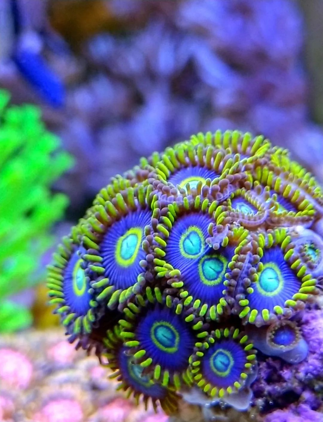 40小缸全套,40的方缸用多大的过滤桶