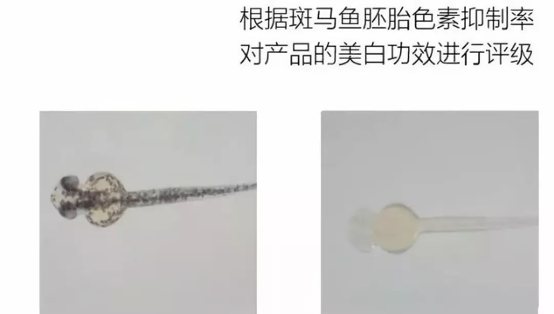 小鱼亲测靠谱吗,小鱼亲测权威度