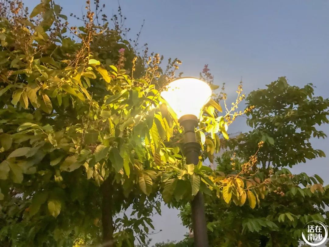 南沙凤凰湖以前叫什么名字,南沙凤凰湖历史