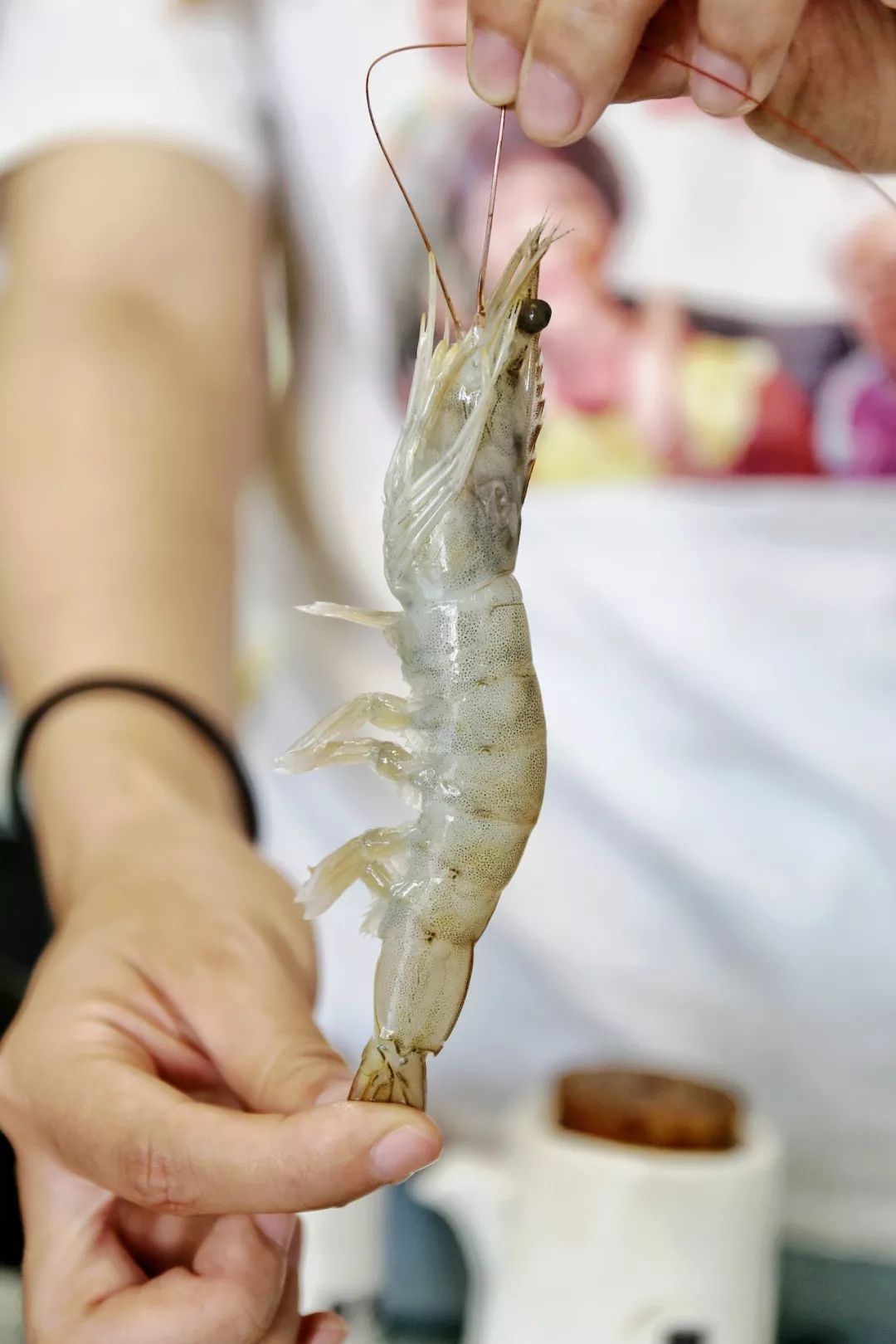 港式金汤花胶鸡加热即食800克,港式金汤花胶鸡抖音团购套餐