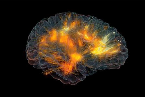 恭喜拥有“深度睡眠”的人!你的老痴风险降低了不少