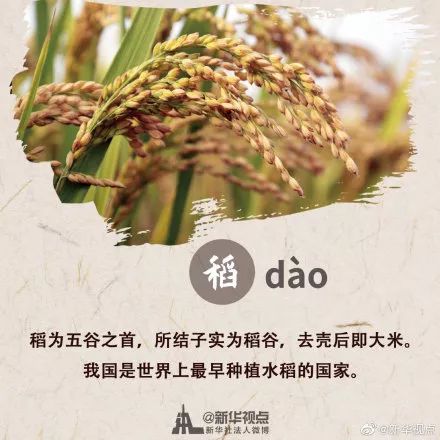 中国农民丰收节秋分节气同一天,二十四节气秋分也是农民丰收节