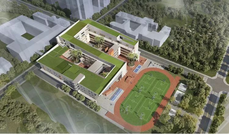 石厦学校小学以前的样子,石厦小学资料