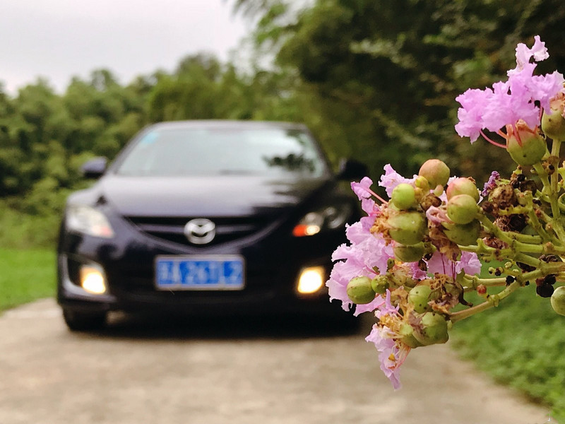 二手睿翼提车,二手睿翼哪一款最值得买