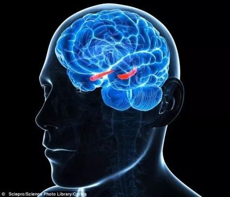 运动能力天生的还是从小锻炼的,人的运动能力从几岁开始