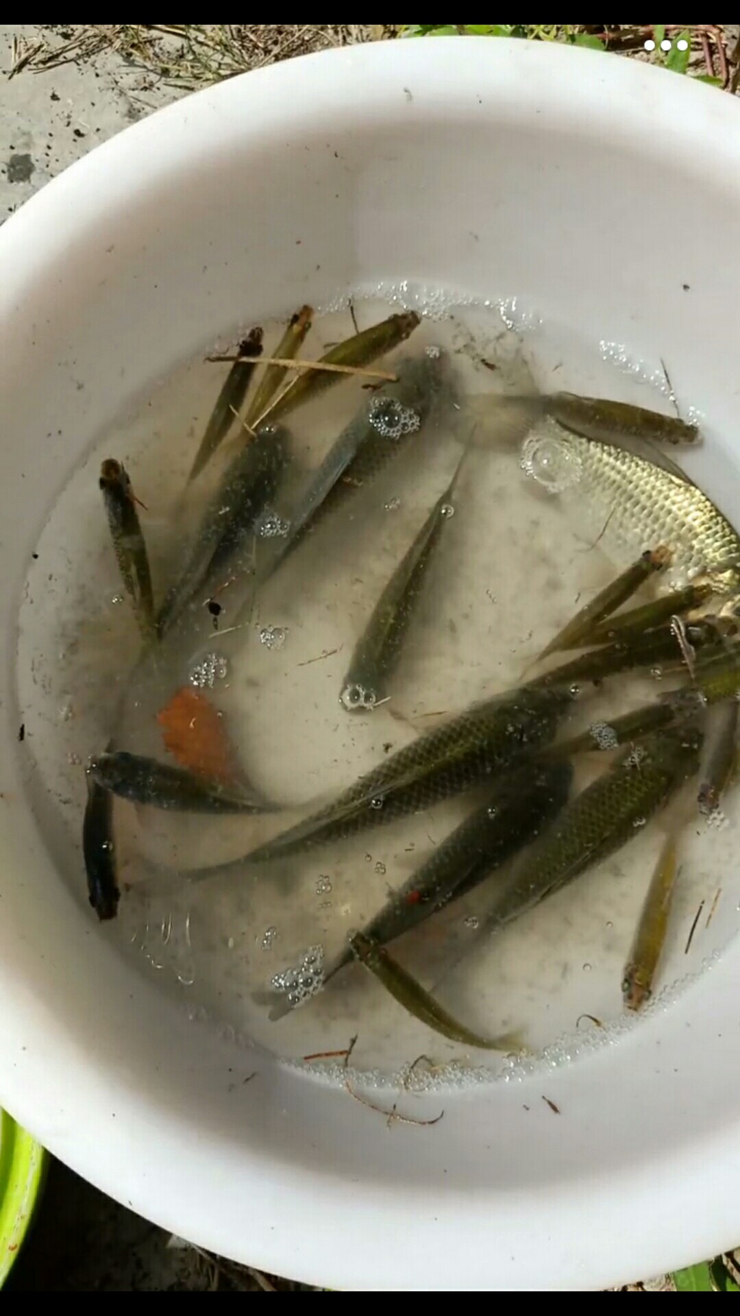 钓桶改装,水桶怎么改装钓桶