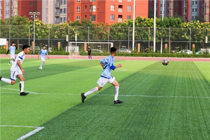 泰达足球学校,泰达中小学篮球比赛