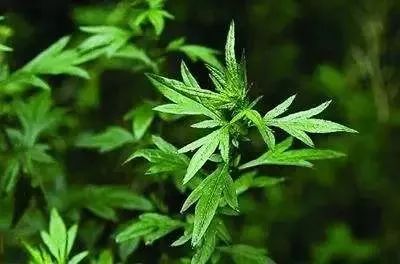 低头族的福音10分钟缓解颈椎,一分钟学会肩颈按摩拯救低头族