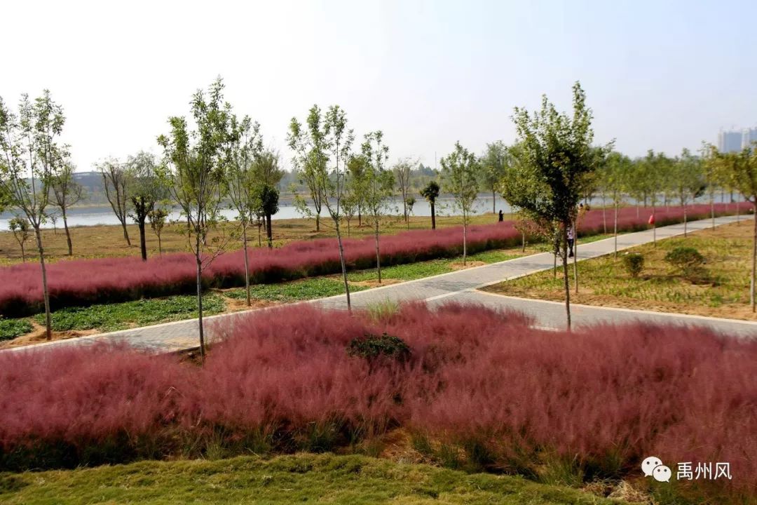 高铁新城给城市带来什么利好,禹州高铁新城有潜力吗