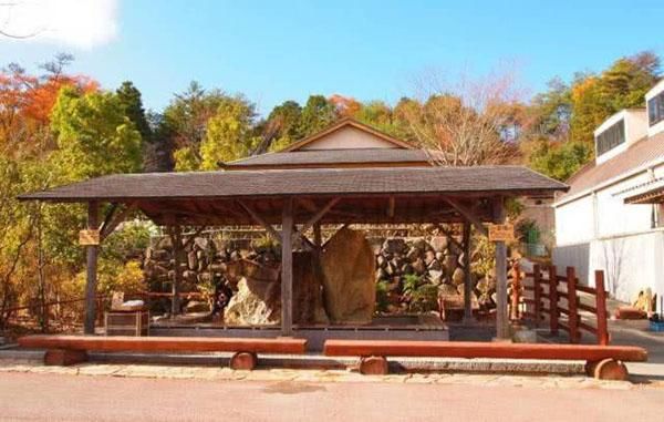 乡村振兴100个盈利模式,乡村振兴项目包括生态农庄