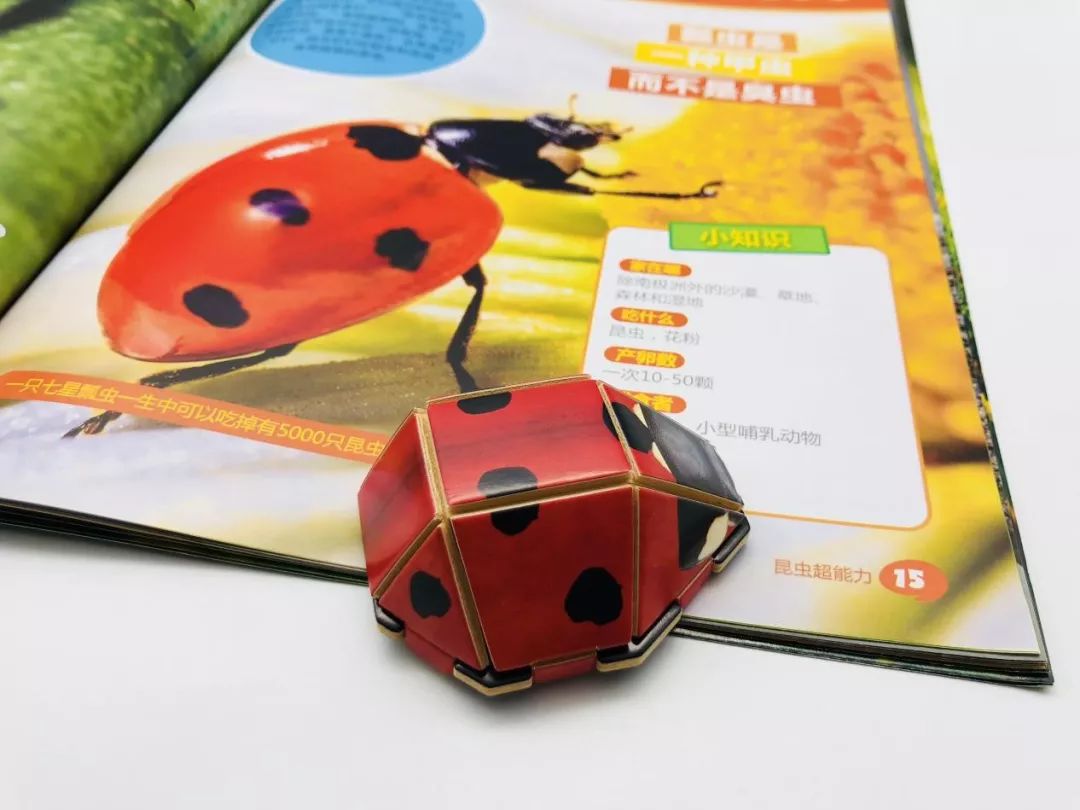 国产玩具品牌,玩具品牌国产