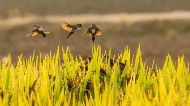 历史上10首著名的诗词,中国历史上最著名的四十首诗词