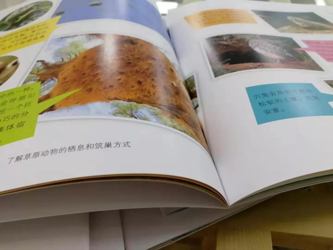 3~7岁孩子必备的科普读物《小小牛顿幼儿馆》，华语世界最有影响力的台湾童书