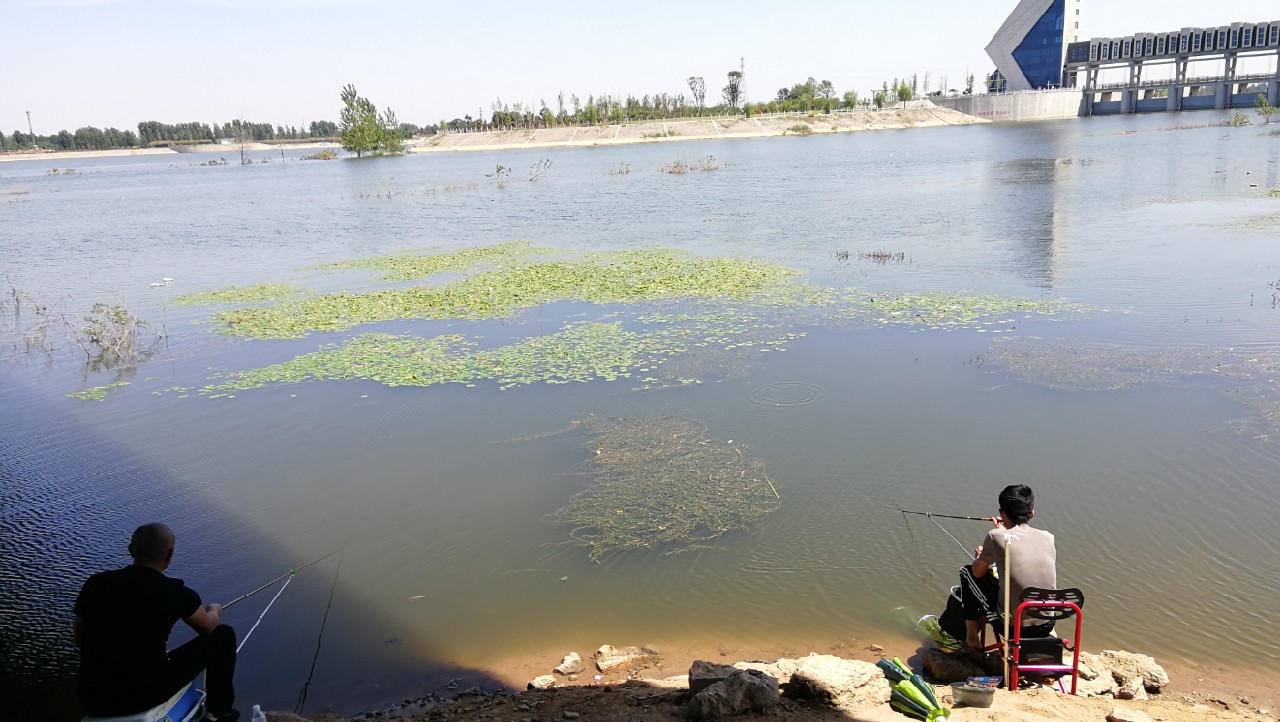 冬季钓鱼窝料配方最新秘方,野钓窝料秘方大揭秘大板鲫的克星