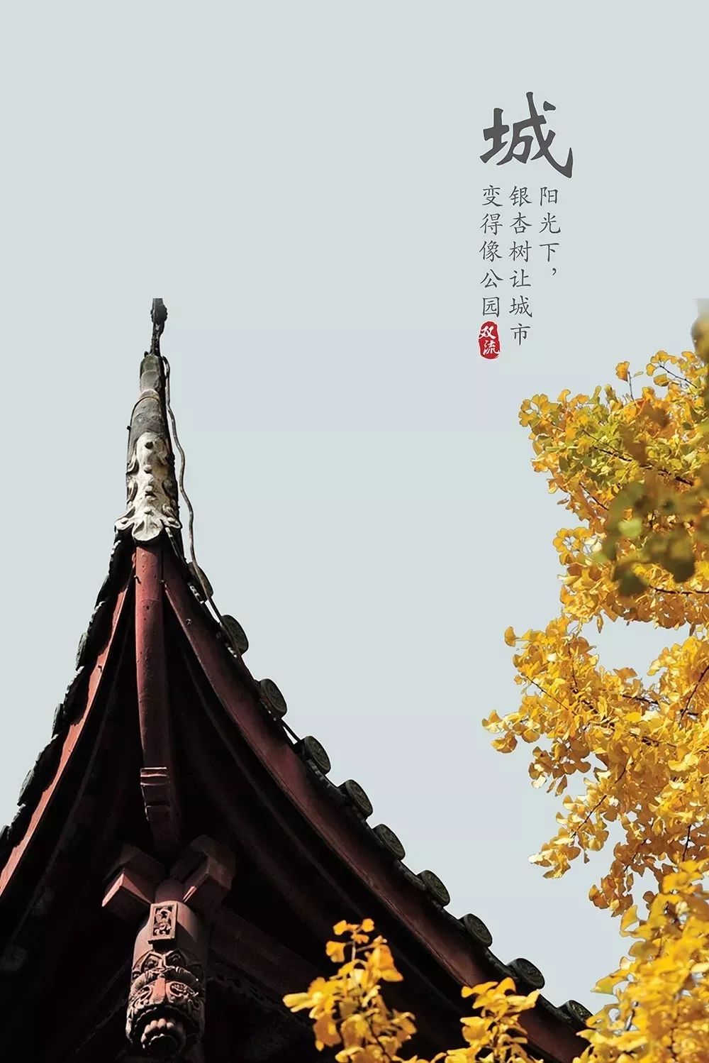 成都双流区旅游省钱攻略推荐,五一在双流适合去哪旅游