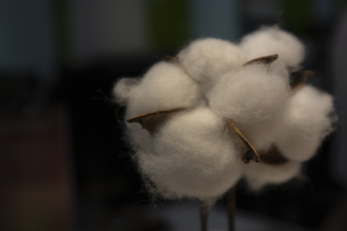 佳能eosm6mark2参数调节,佳能vlog神器v10