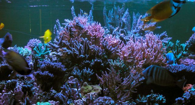 sps哪家更实用,sps怎么操作