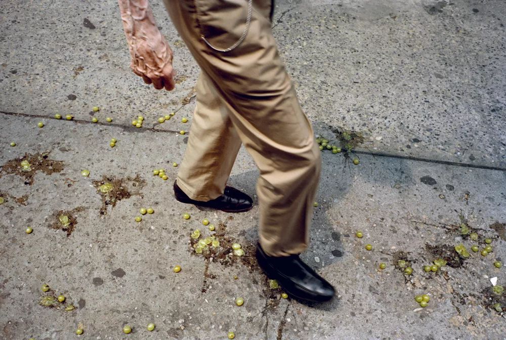 徕卡大师拍摄,徕卡相机摄影大师