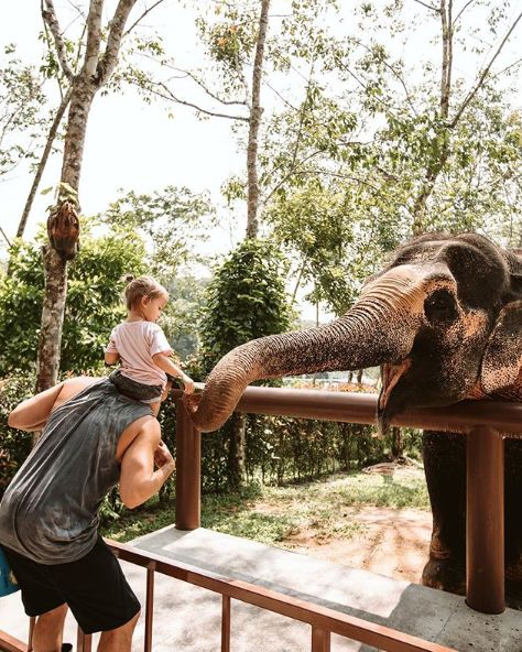 在普吉岛怎么玩,在普吉岛要注意什么