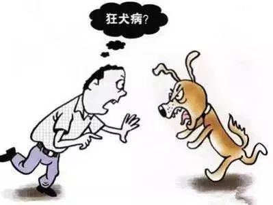 科普正确认识狂犬病,北京疾控中心预防狂犬病