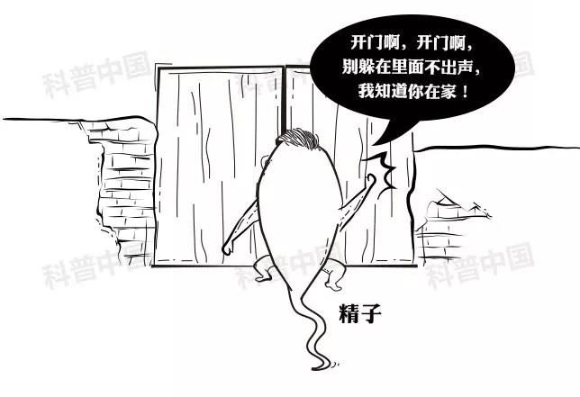 正经科普！避孕药在体内究竟经历了什么…