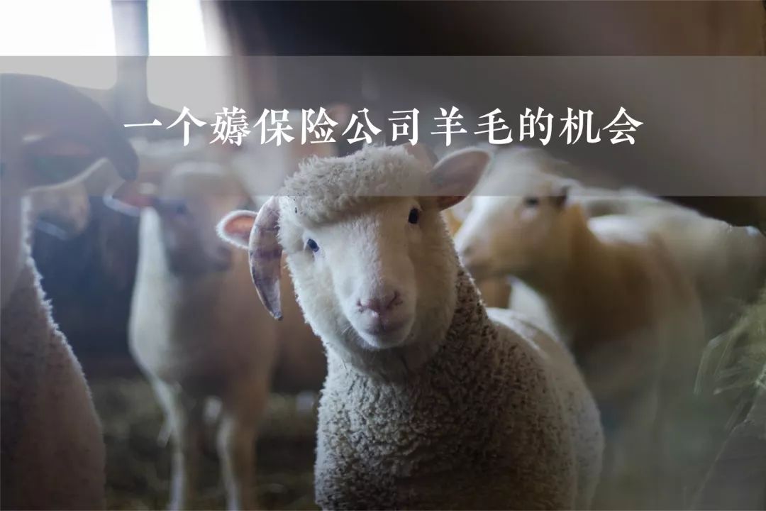 保险薅羊毛,保险公司新人薅羊毛