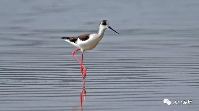 北京必去12个地方旅游攻略,北京小众省时游玩攻略