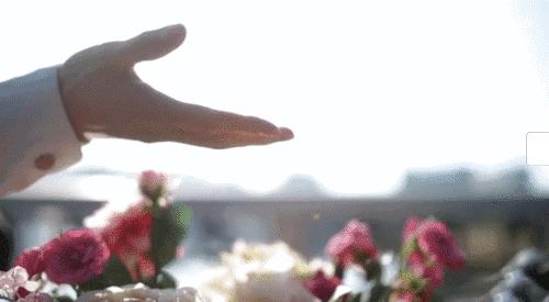 神奇绵羊油,润肤用的绵羊油