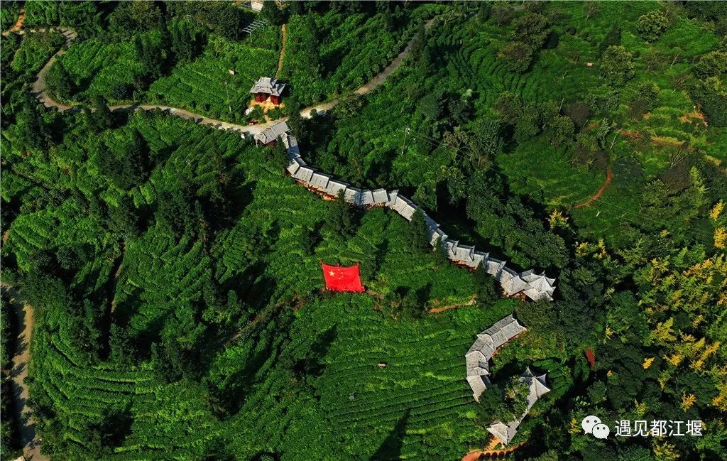 和五星红旗合影九宫格,与五星红旗合影