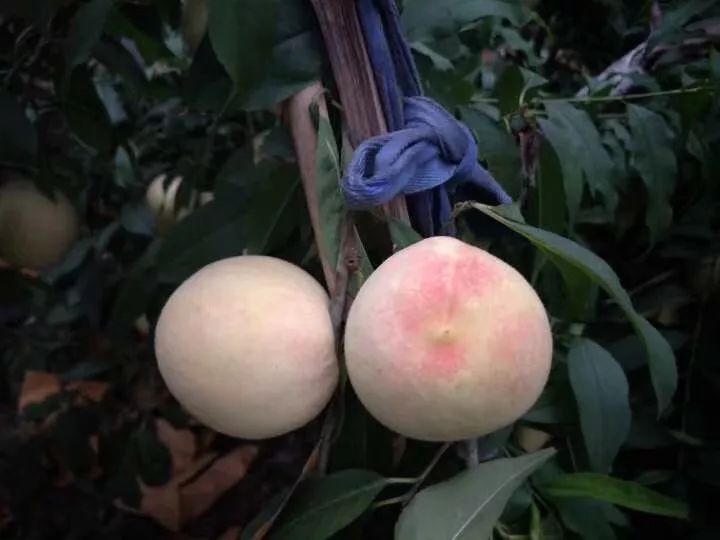 北仑小港有什么好玩的地方,北仑小港去哪玩