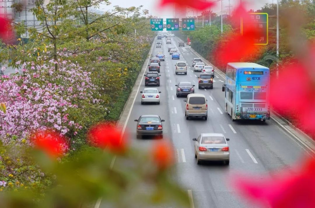 【中国强江南好】投资创业有沃土