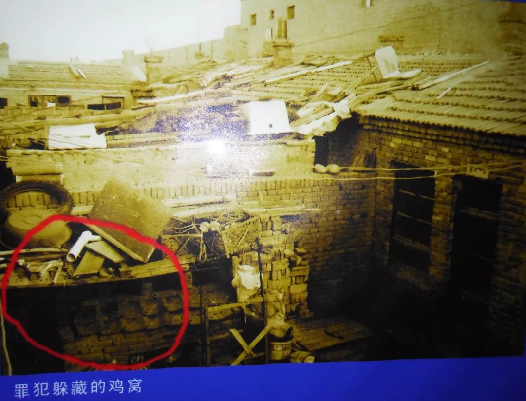 时光穿越动画片,东胜警察故事