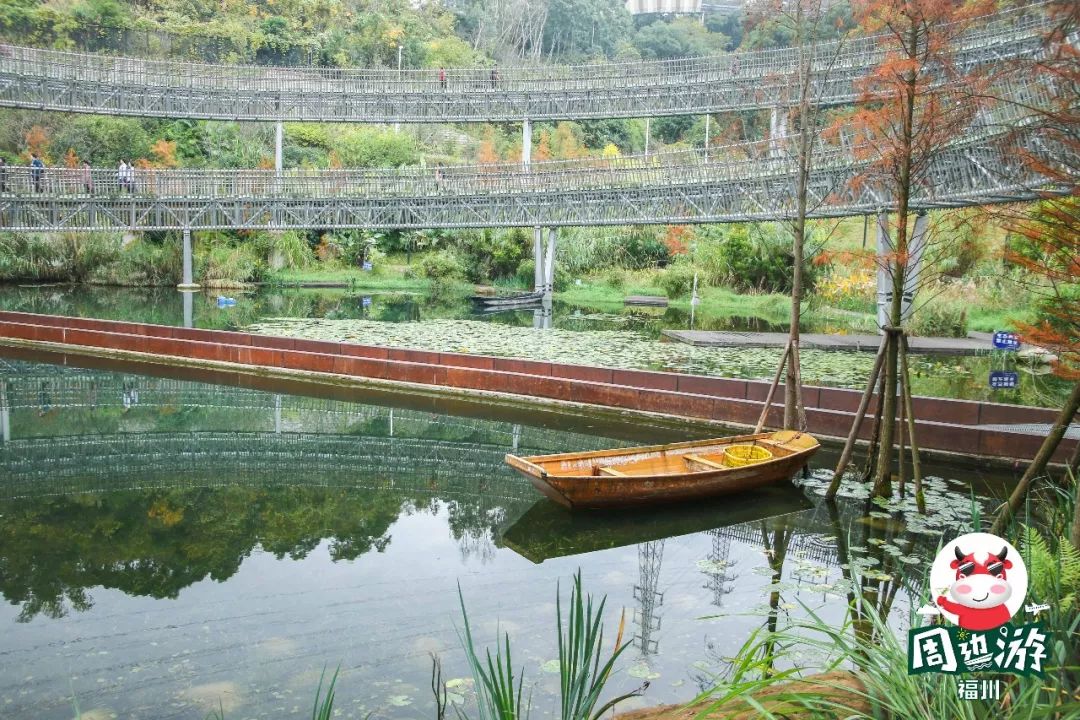 福州周边赏花自驾游,福州十大赏花好去处