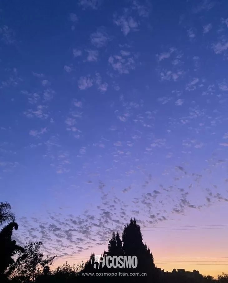 秦舒培介绍自己,秦舒培是一个怎样的人