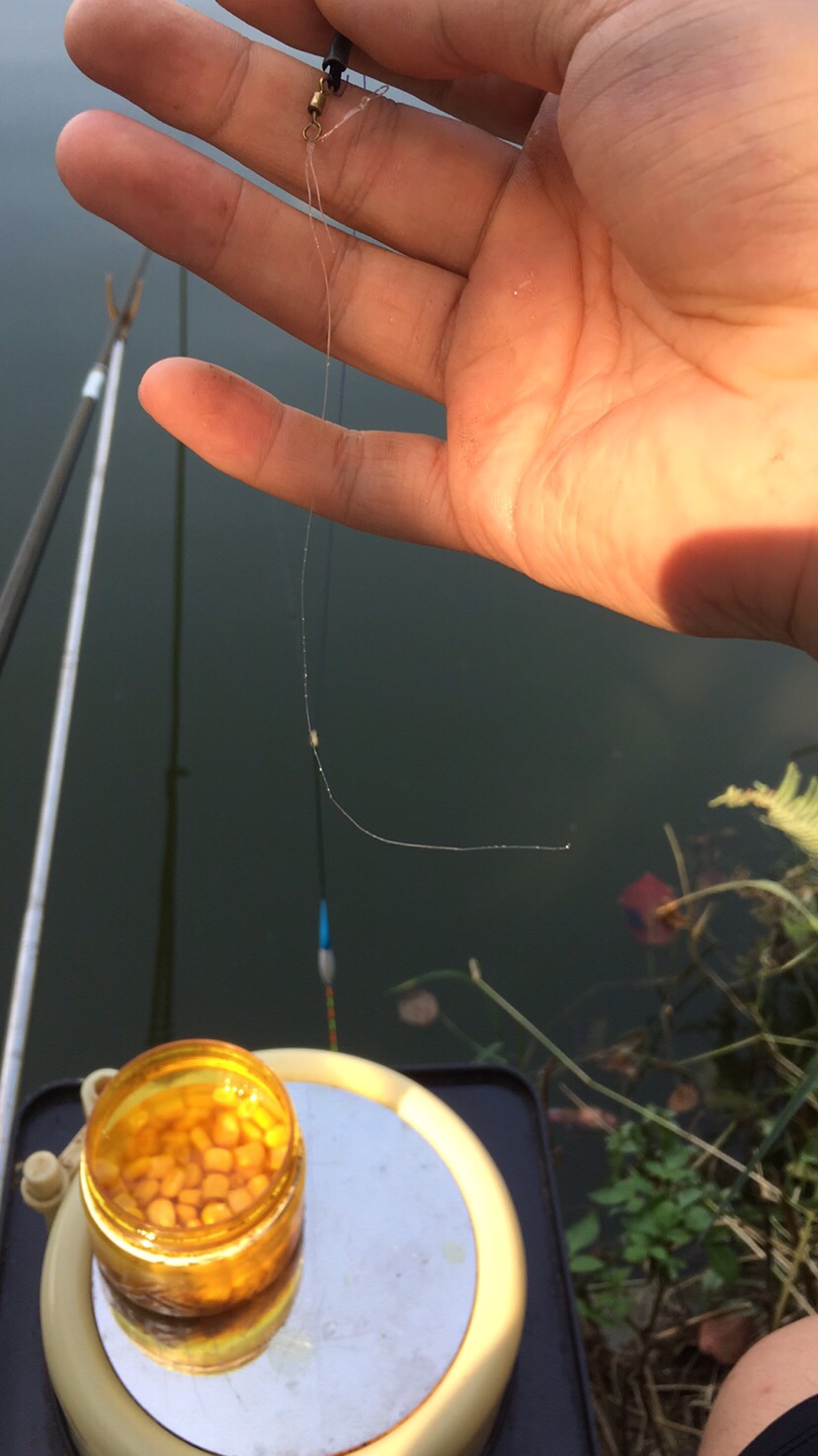 假期回家阖家欢乐,假期来郊外玩心情美美哒