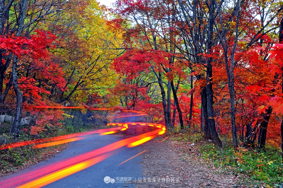 中华枫叶大道沿途风景区,中华枫叶大道红了吗