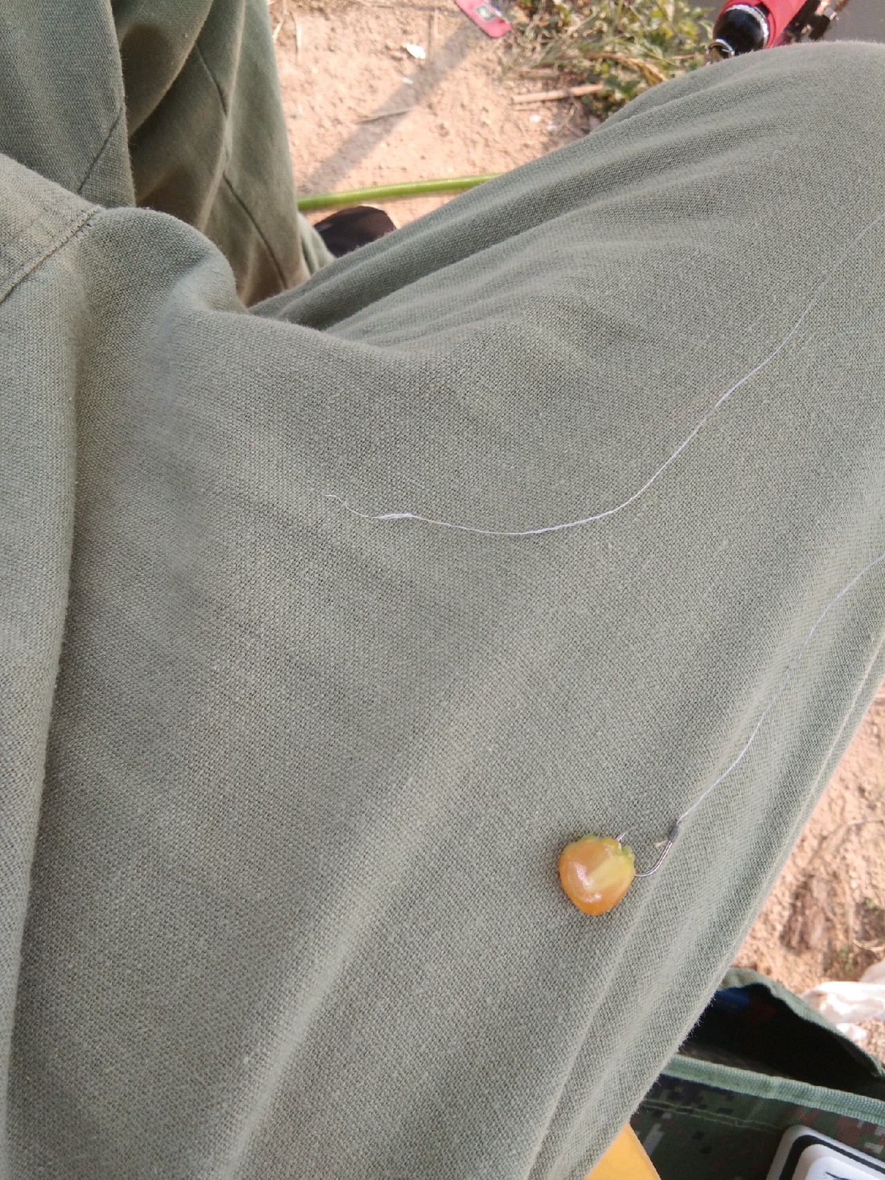 钓淡水白鲳用什么子线,钓淡水白鲳用什么饵料最好